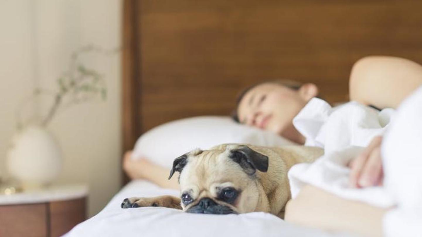 Getting enough sleep to rejuvenate your body mentally and physically Getting enough sleep to rejuvenate your body mentally and physically