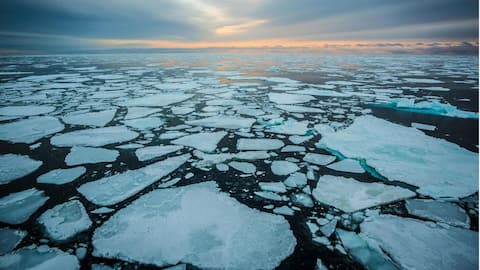 Worrying: Arctic is losing its ice cover again