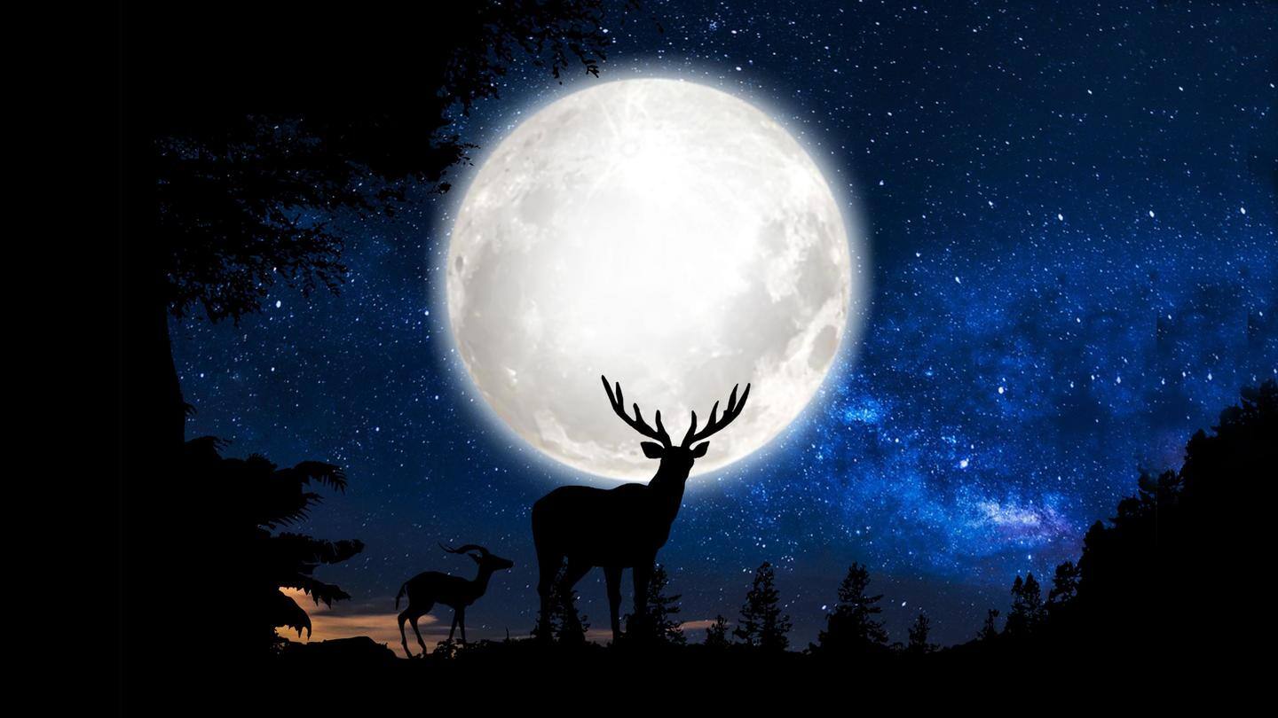 What is Buck Supermoon and how to watch it