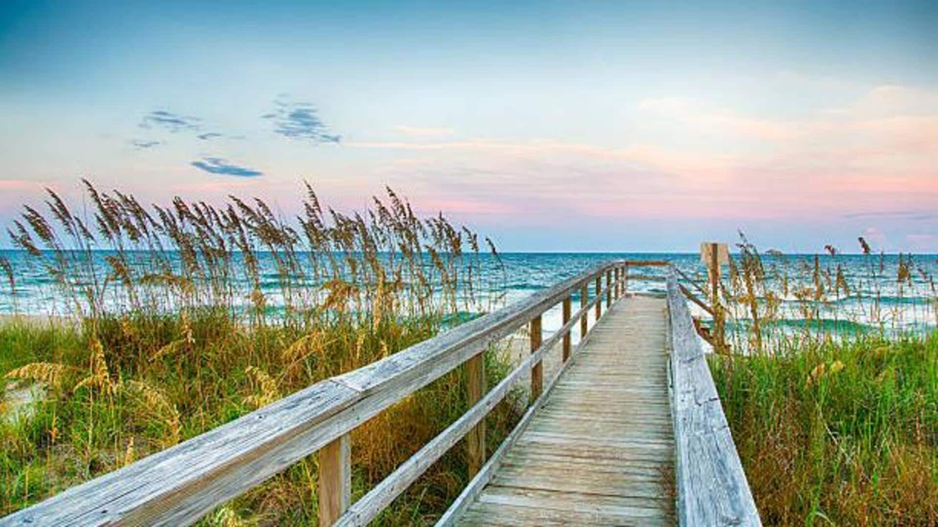 Coastal boardwalks: An amazing way to explore nature Coastal boardwalks: An amazing way to explore nature