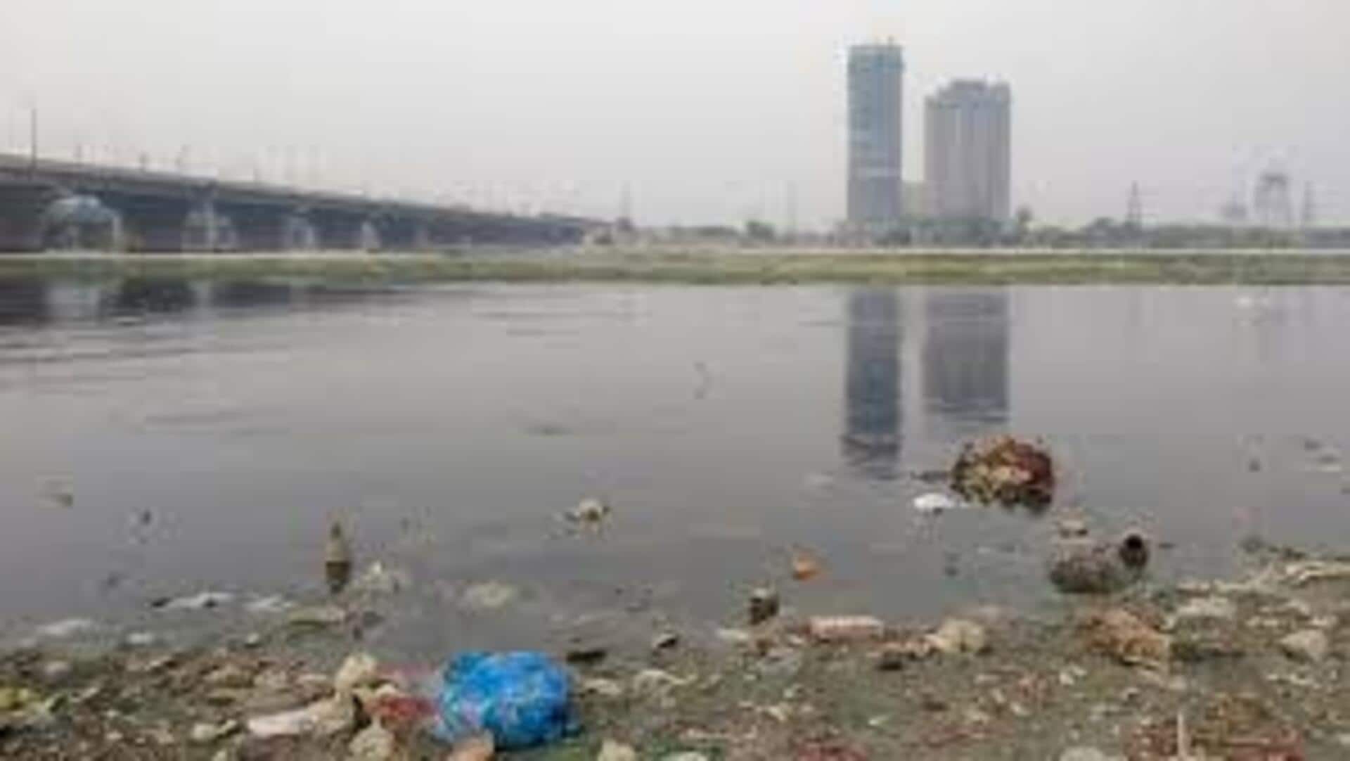 Delhi HC forms three-member panel on Yamuna pollution, rebukes agencies