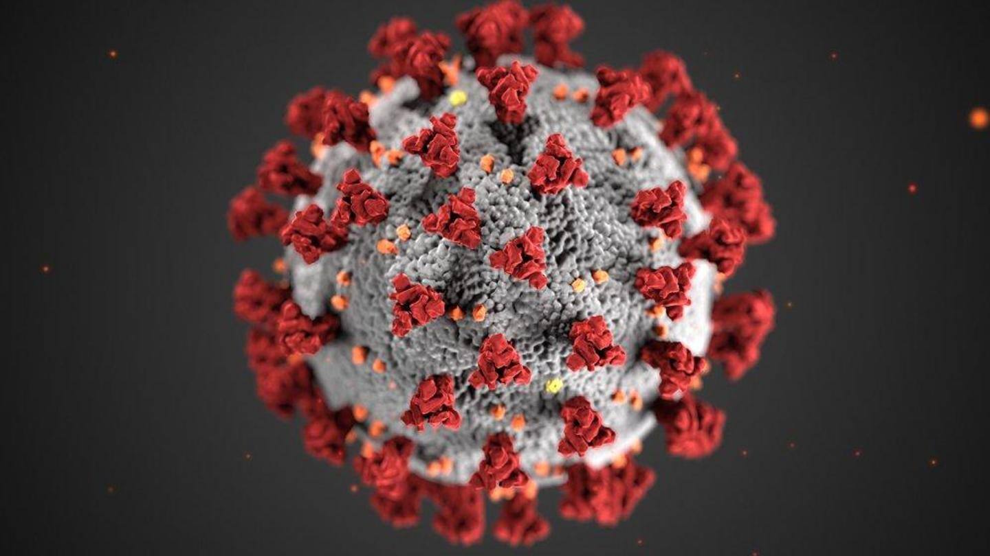 The virus so far infected over 16 crore people worldwide The virus so far infected over 16 crore people worldwide