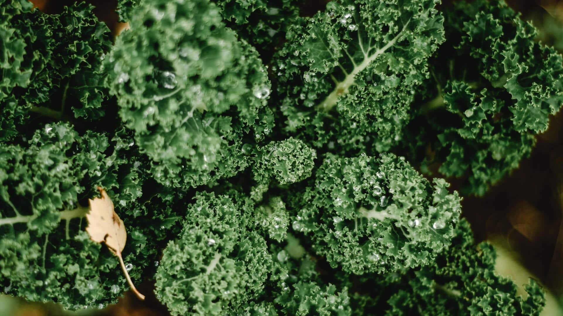 5 vegetables that are naturally high in iron