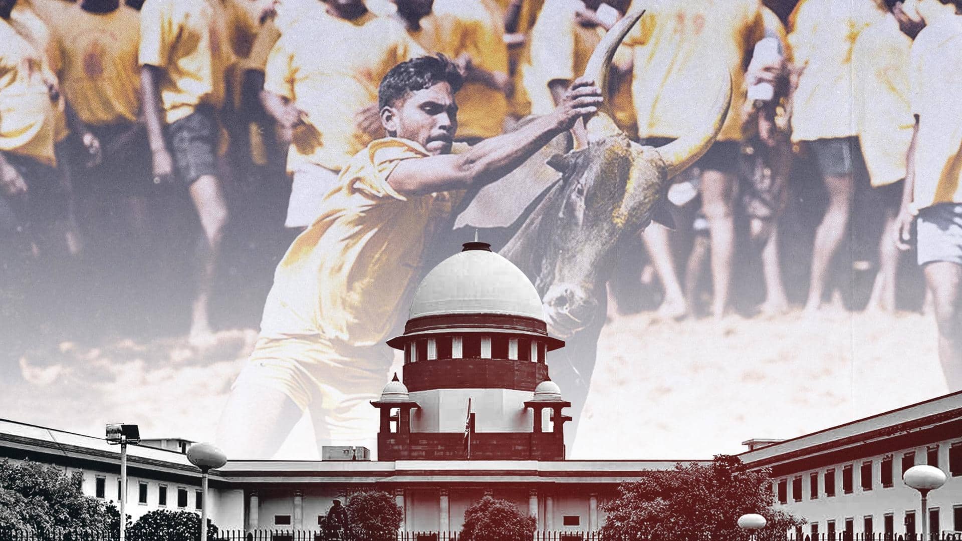 Supreme Court upholds Tamil Nadu law allowing 'Jallikattu'