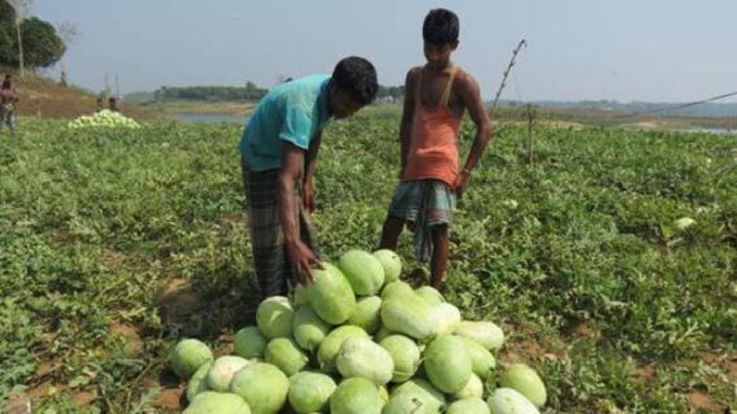 Mahto's produce had started rotting amid lockdown Mahto's produce had started rotting amid lockdown