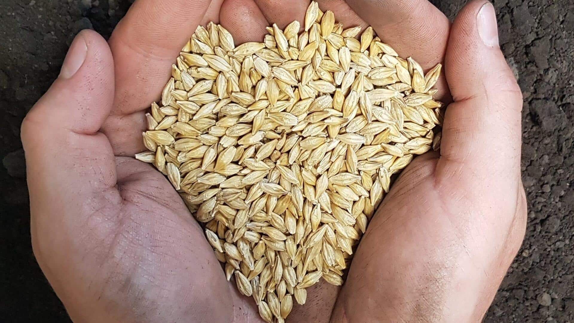 5 reasons to add barley to your daily diet
