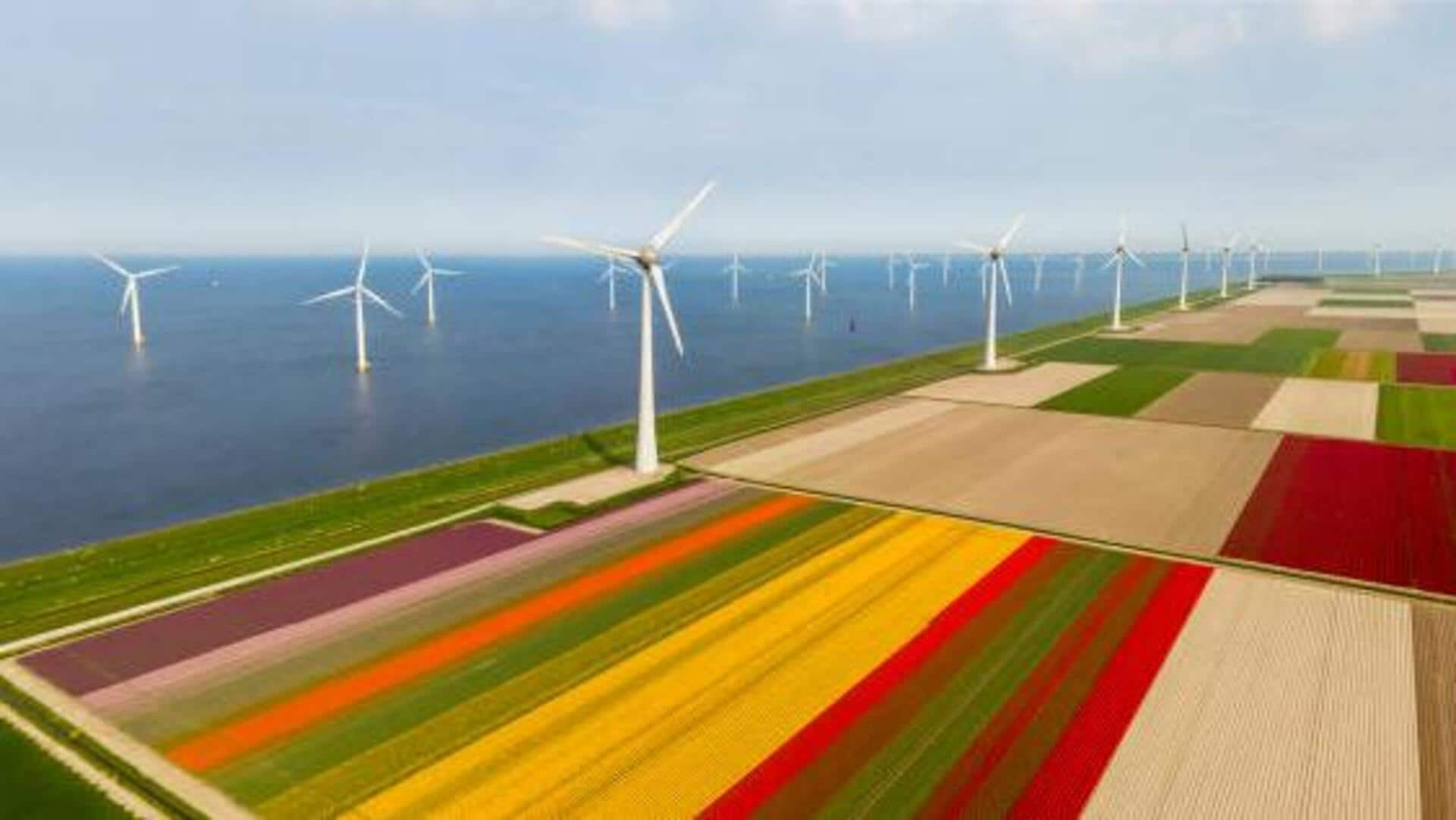 Flevoland, Netherlands: A journey through tulips and windmills