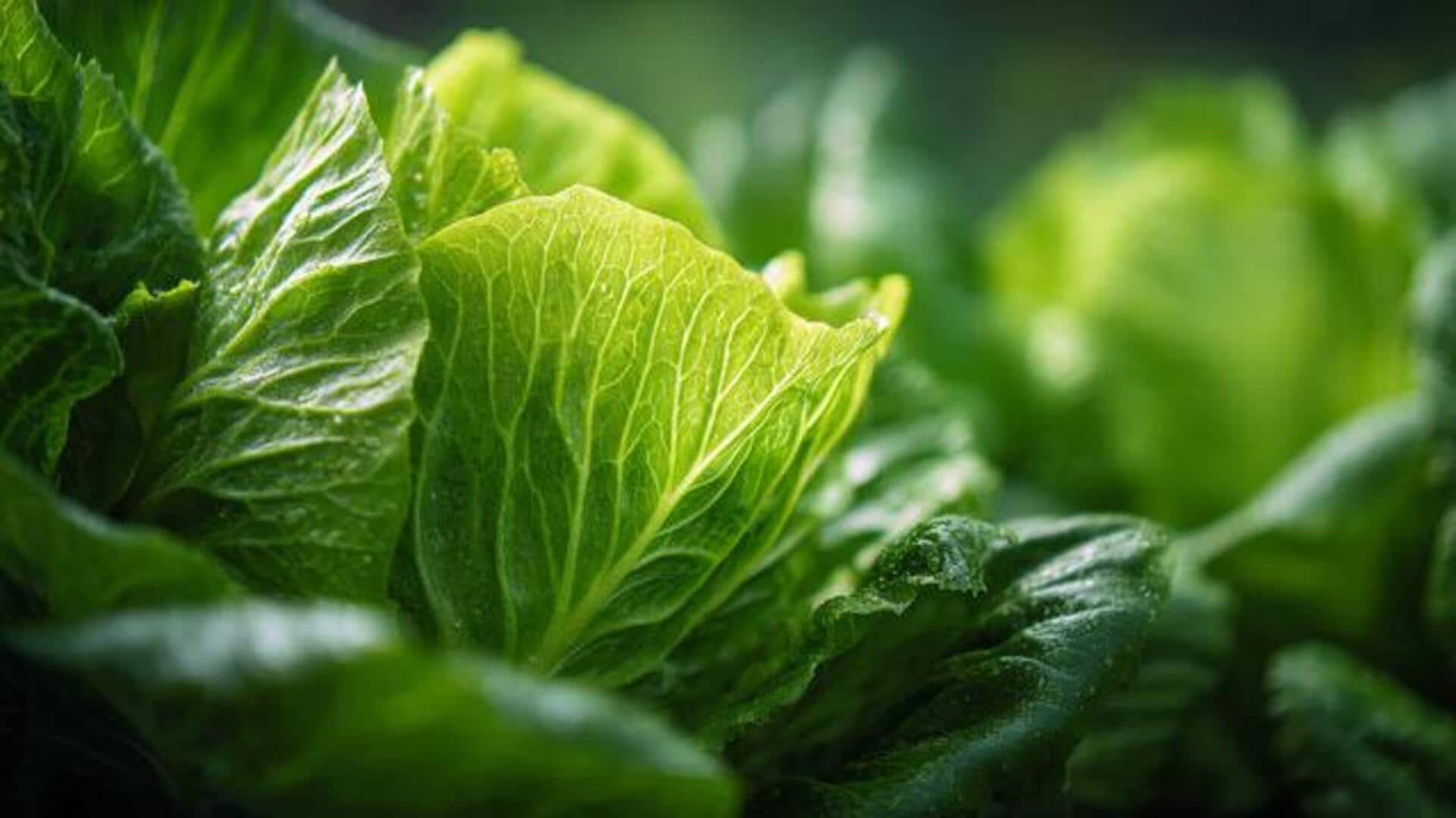 5 health benefits of wild lettuce leaves