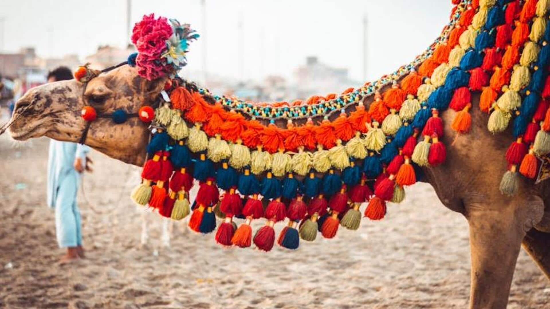 Experience the vibrant Camel Festival in Bikaner, India