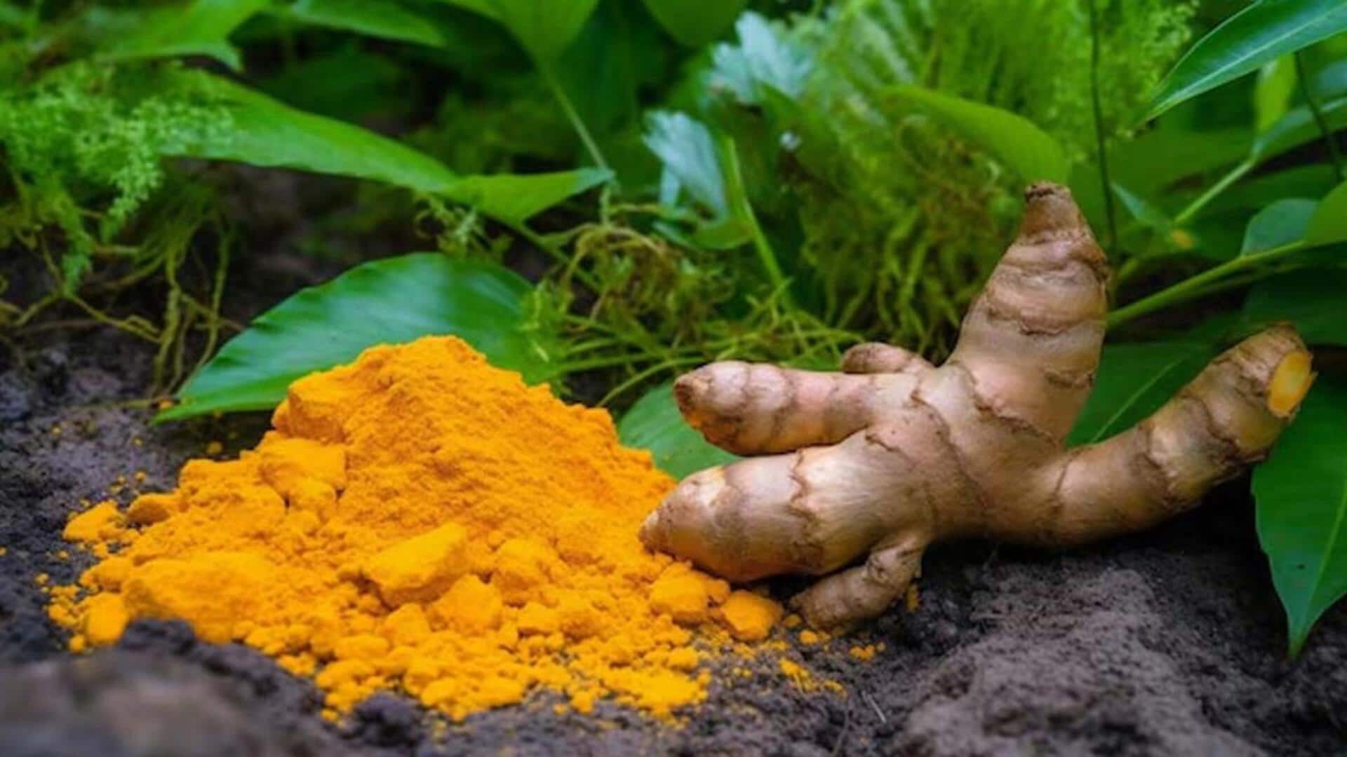 Grow turmeric using kitchen scraps; we show you how Grow turmeric using kitchen scraps; we show you how