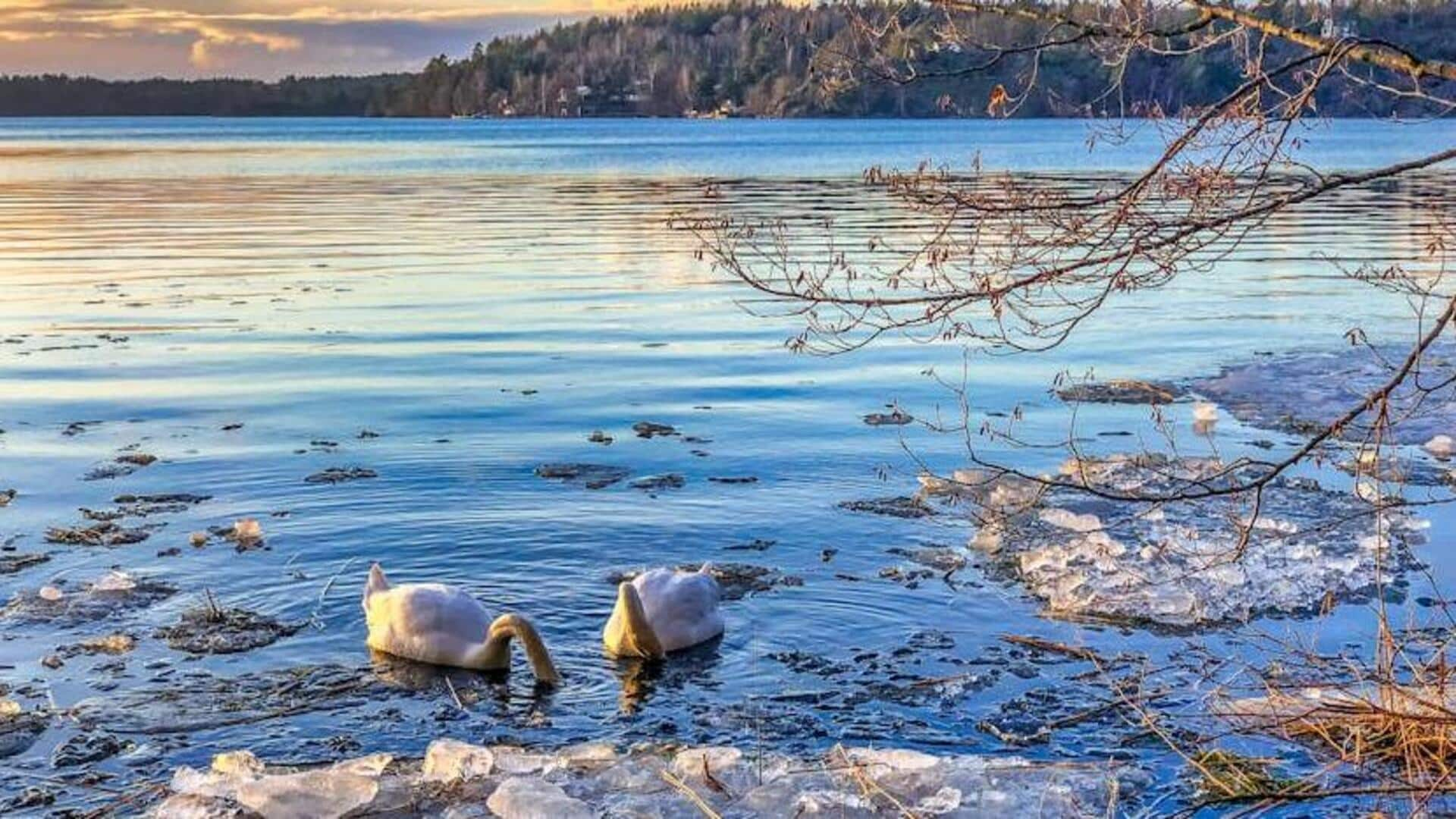 Go for these serene winter walks in Stockholm