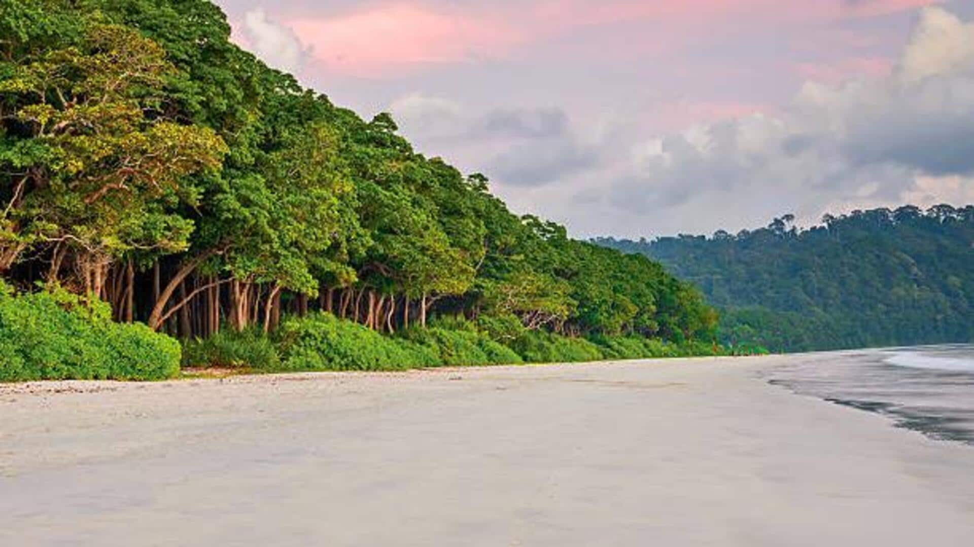 Trekking in the Andaman Islands: A guide