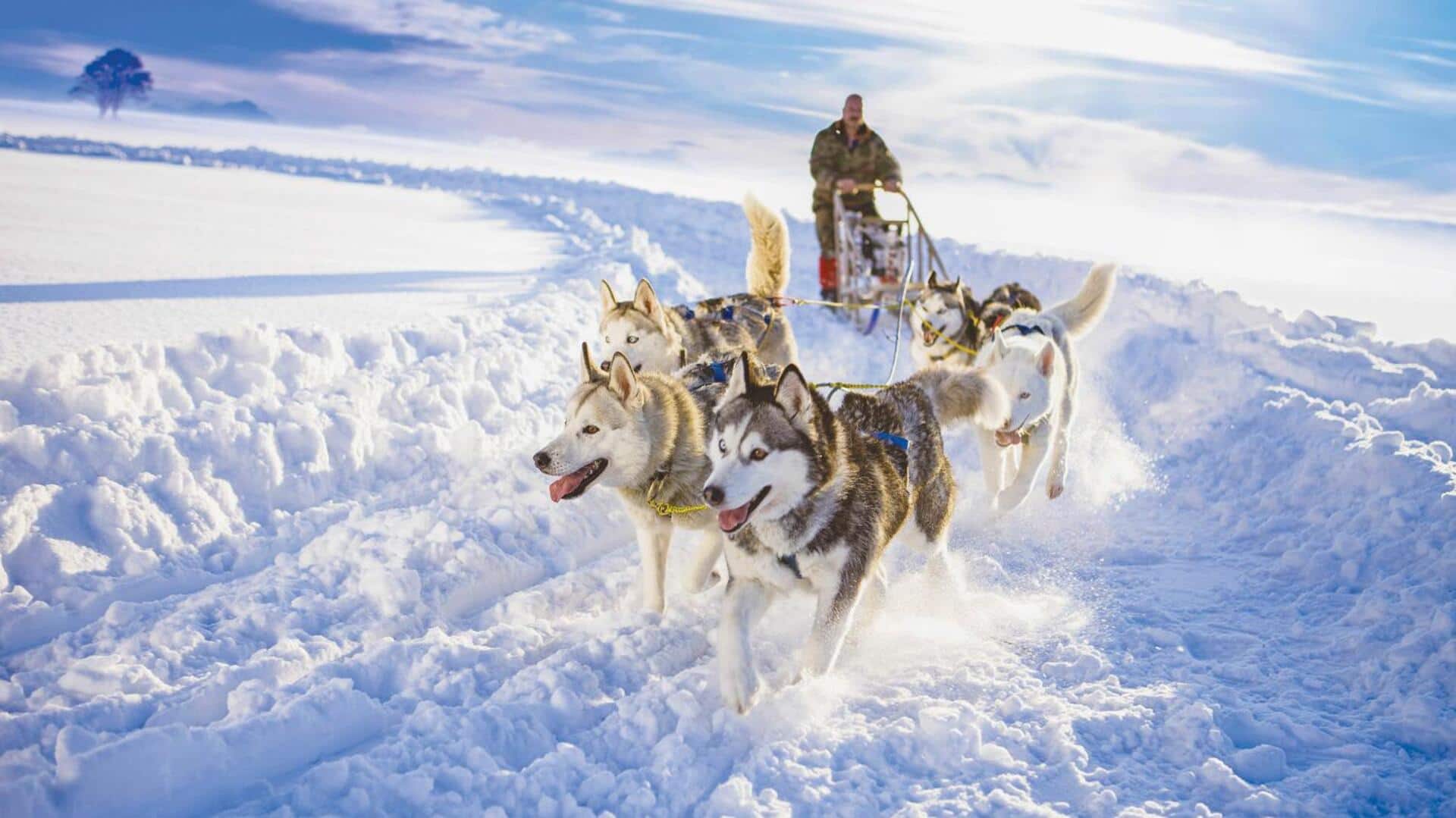 Dog sledding in Alaska is a must-try adventure