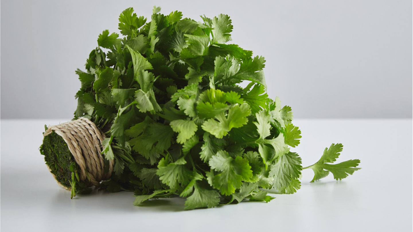 5 aromatic recipes using parsley you must try at home