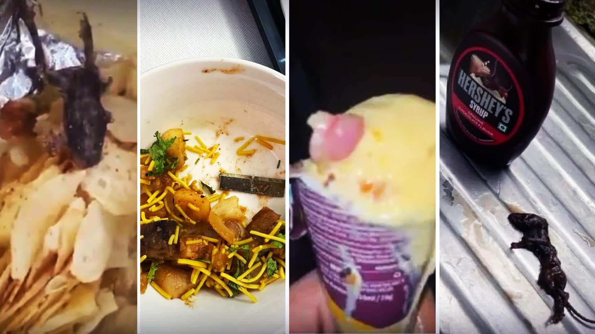 Unusual items found in recent food, online deliveries in India