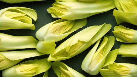 Did you know these incredible benefits of endive