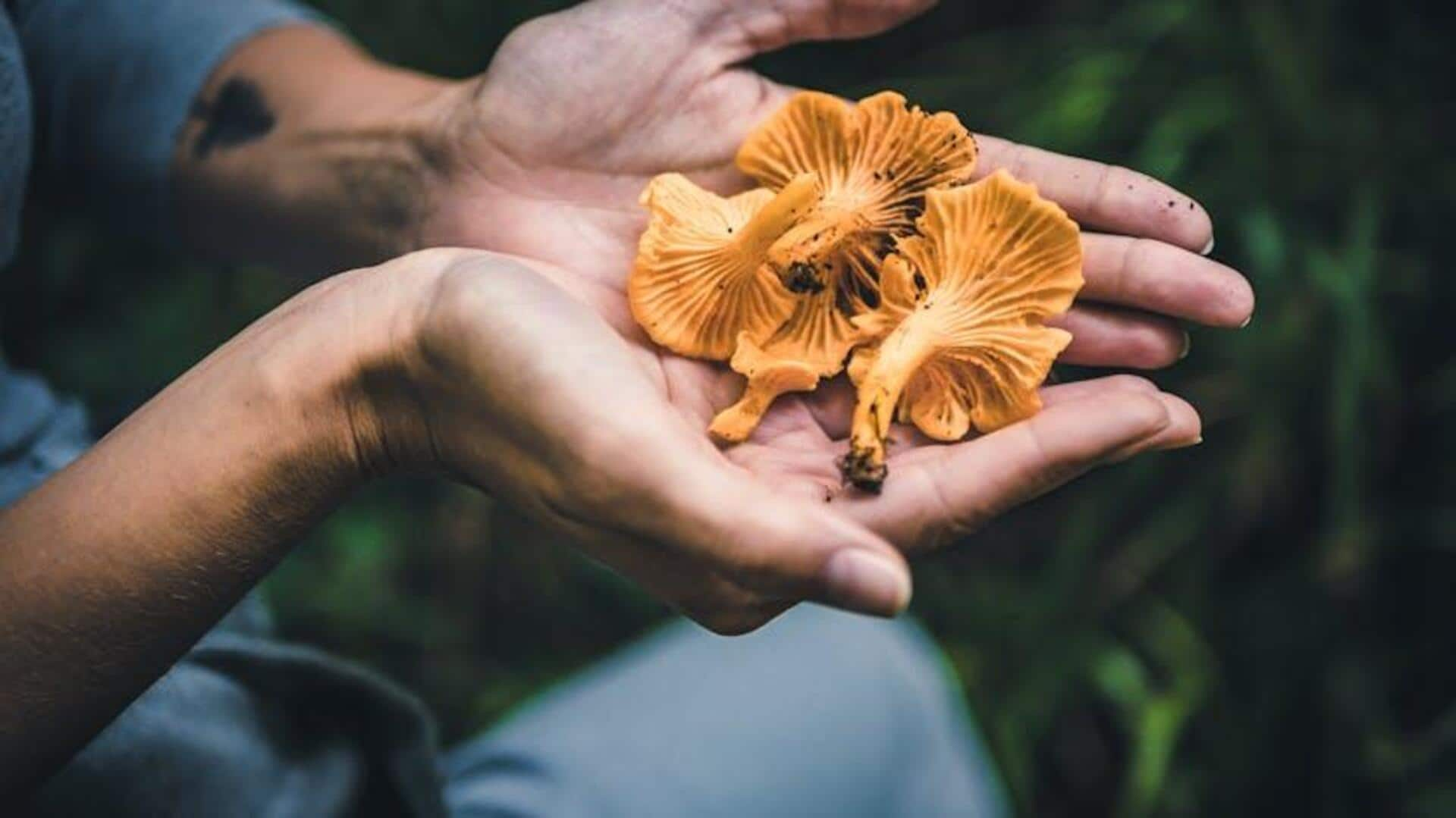 Urban mushroom foraging: City fungi hunts