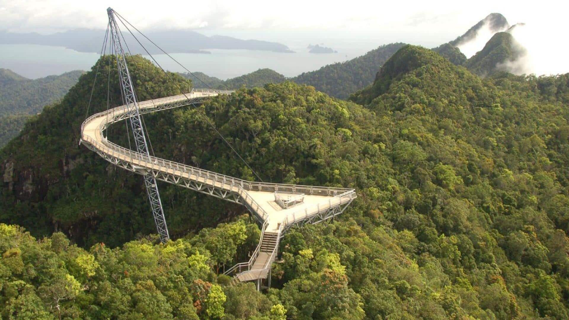 Experience mindfulness on sky bridges in the forest 