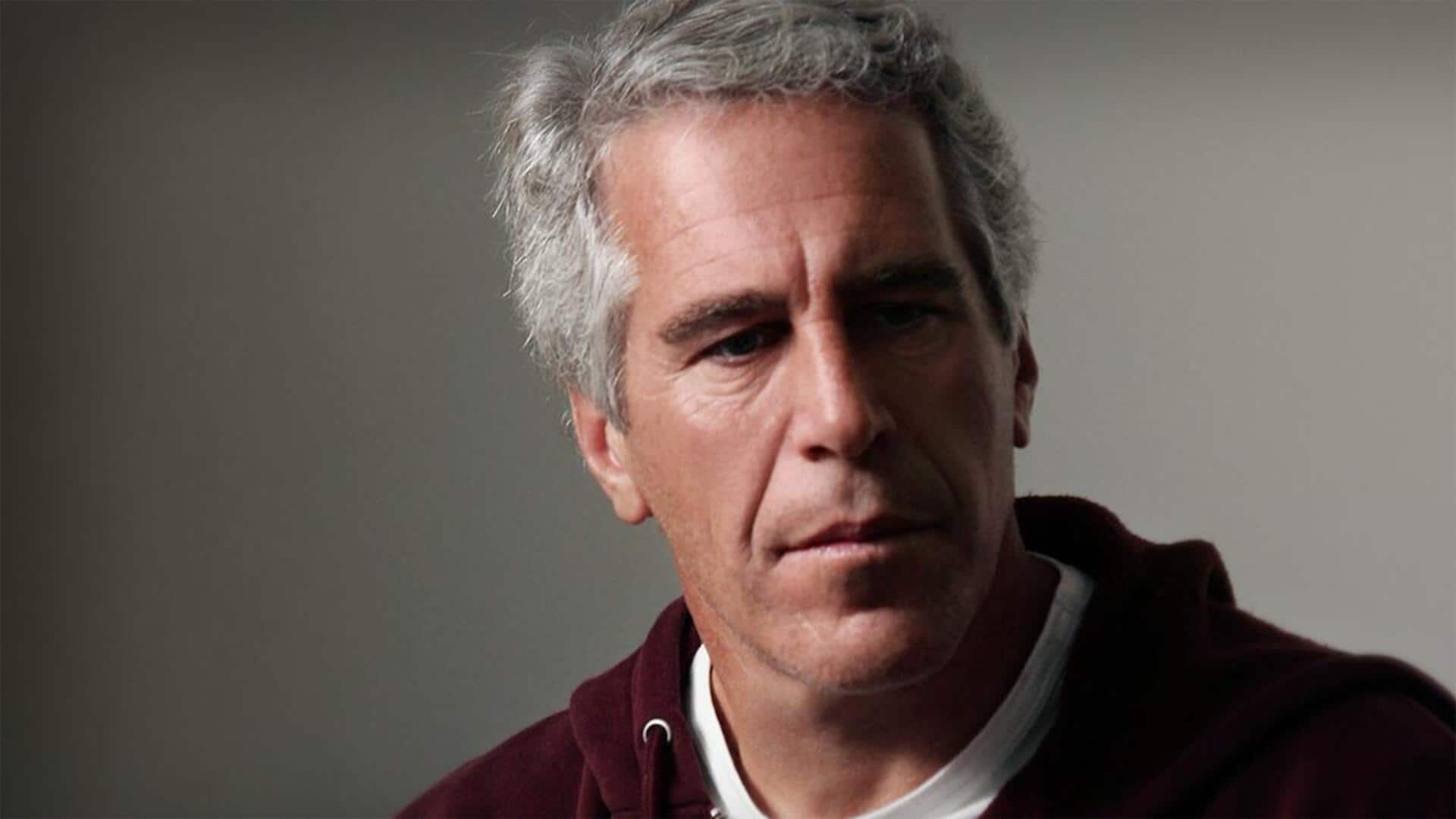Anthropic CEO's wife pitched 'luxury porn' business to Jeffrey Epstein