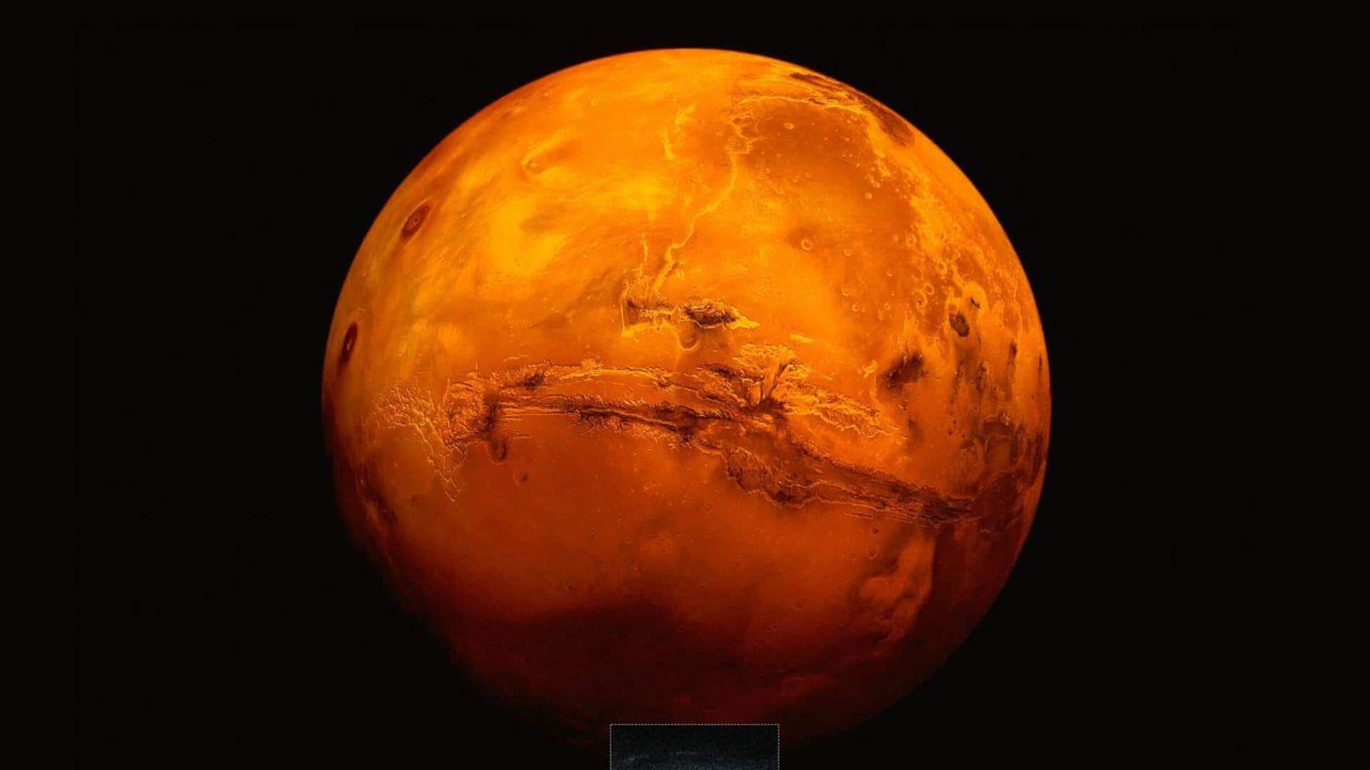 This is how life could survive beneath Mars's surface