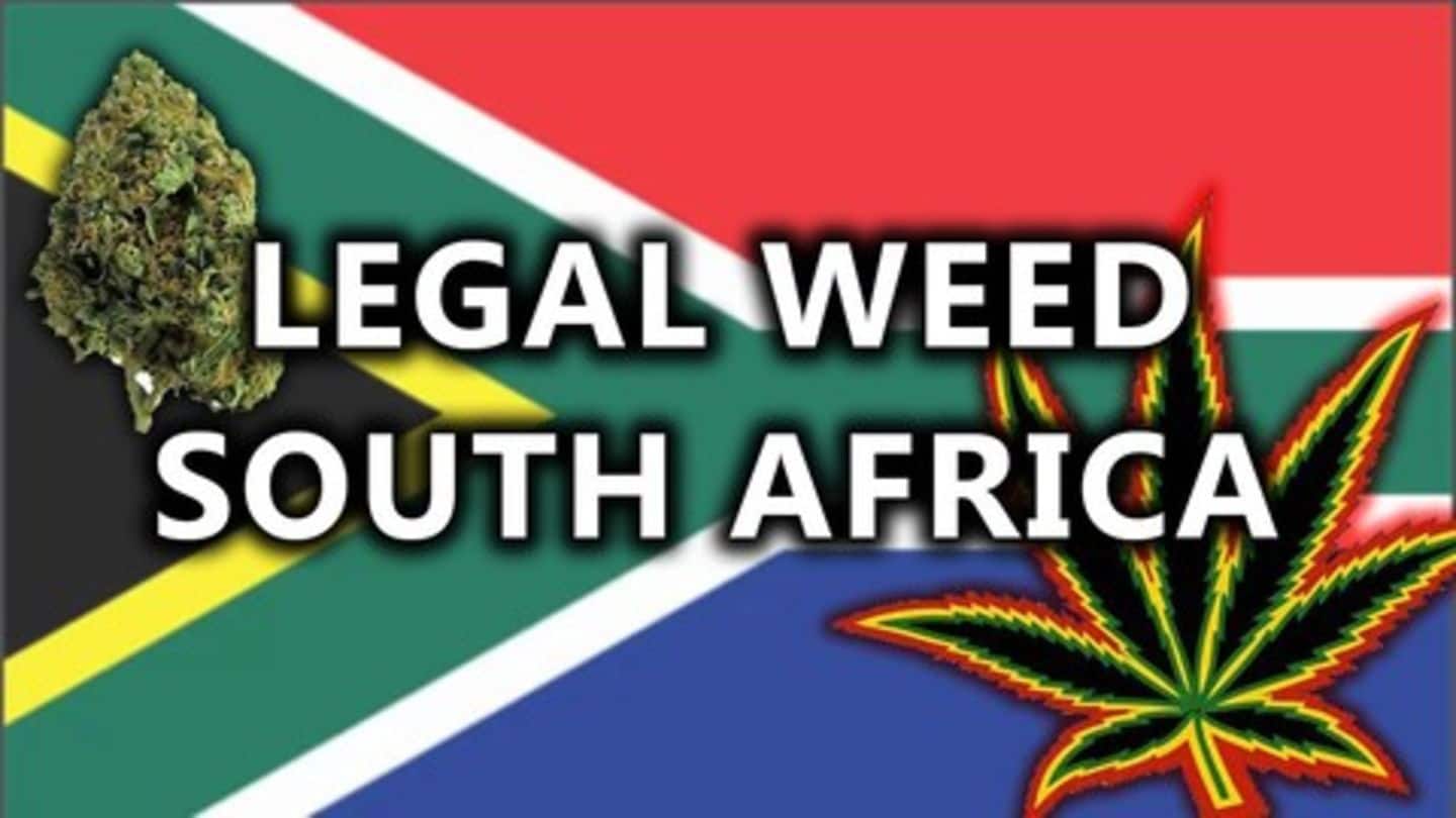 South Africa's apex court legalizes marijuana consumption for adults