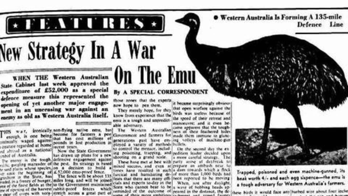 #ThisDayThatYear: Australia declared a war against birds, and lost