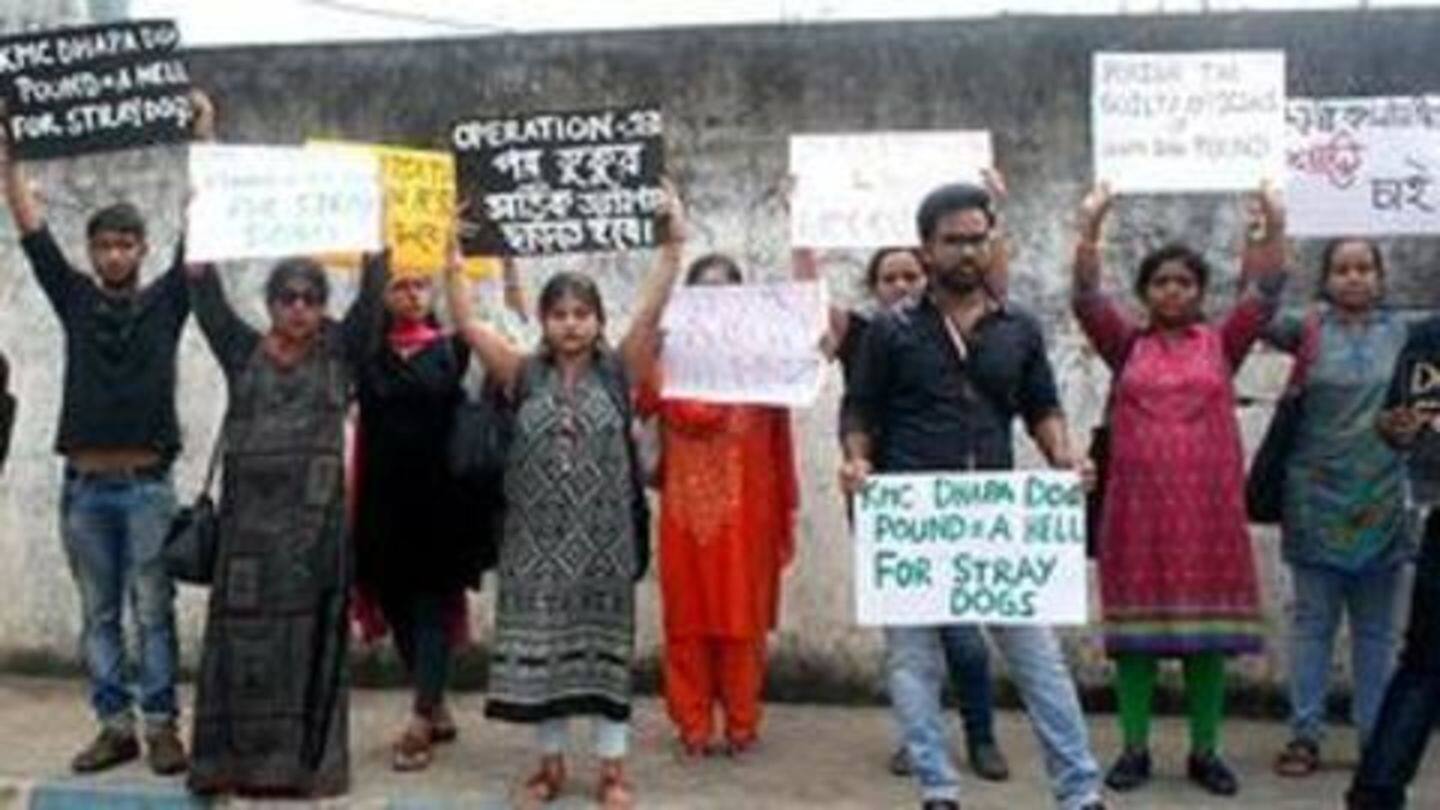 Civic authorities have promised strict action against the perpetrators Civic authorities have promised strict action against the perpetrators