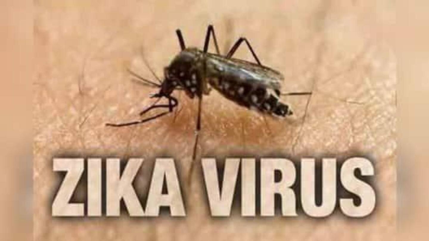 Zika virus outbreak: 50 infected in Jaipur, more expected
