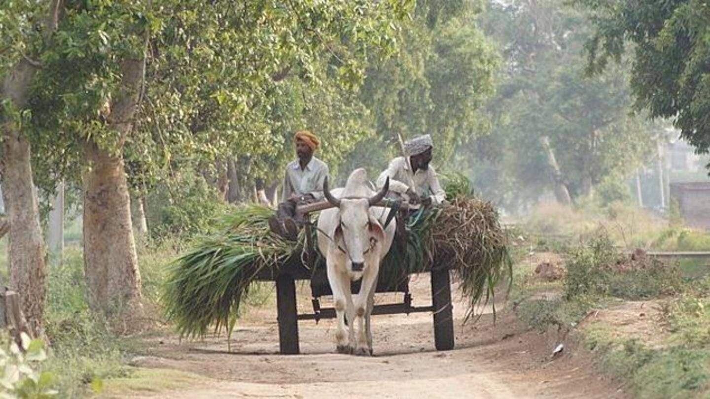 Amid rising fuel prices, Congress member wants bullock cart