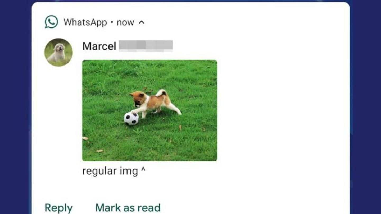WhatsApp adds notification panel image previews for Android Pie