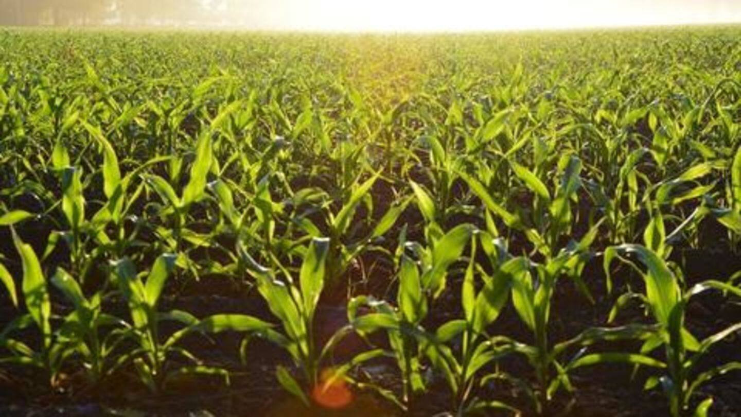 The risks associated with large scale solar geoengineering The risks associated with large scale solar geoengineering