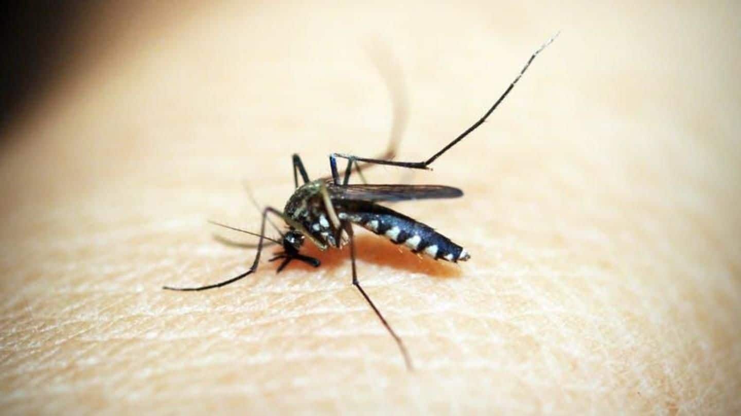Suspected dengue death reported, might be the first of 2018