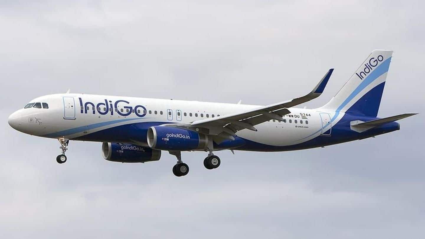 IndiGo's Chief Commercial Officer quits after 12-year stint