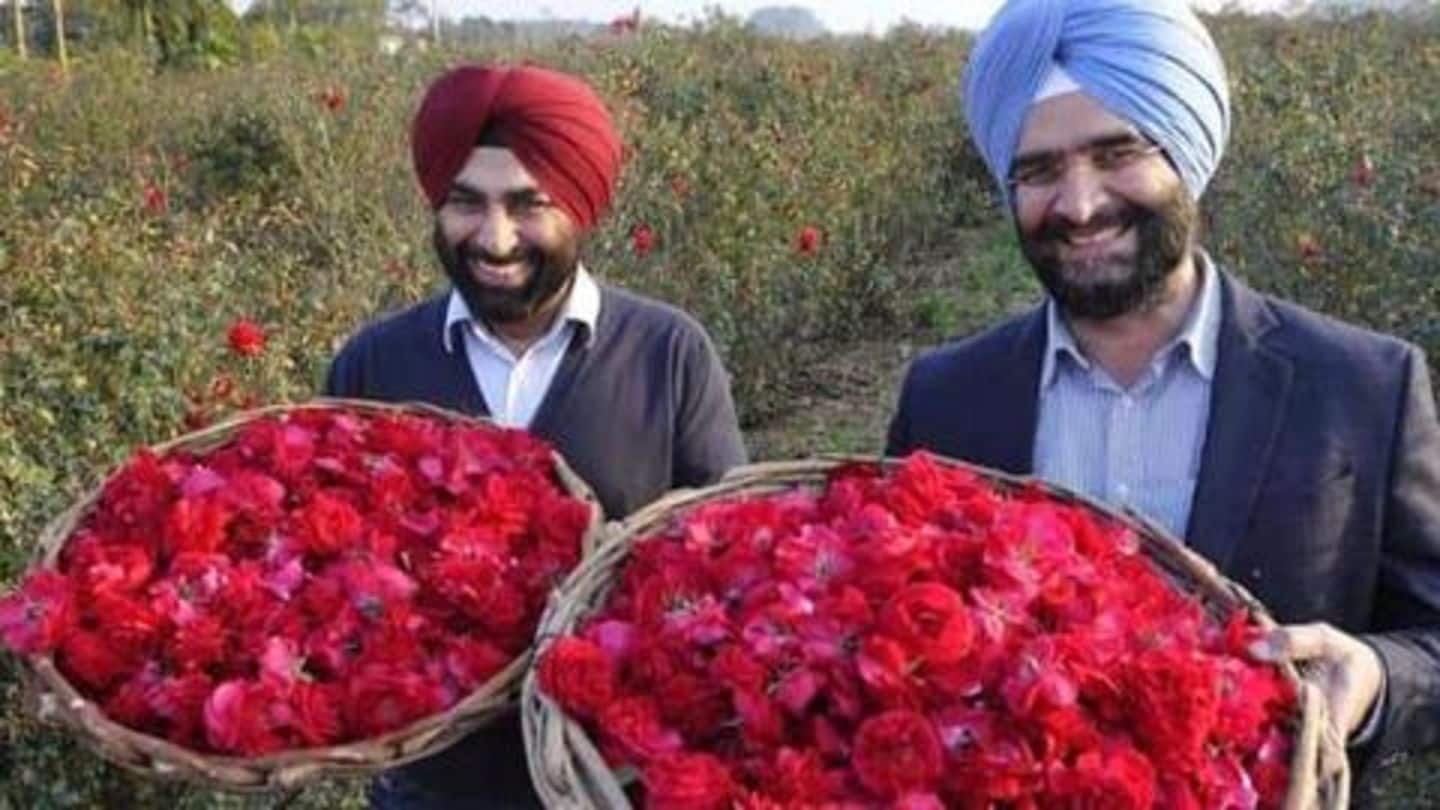 Export of roses in February has been growing every year Export of roses in February has been growing every year