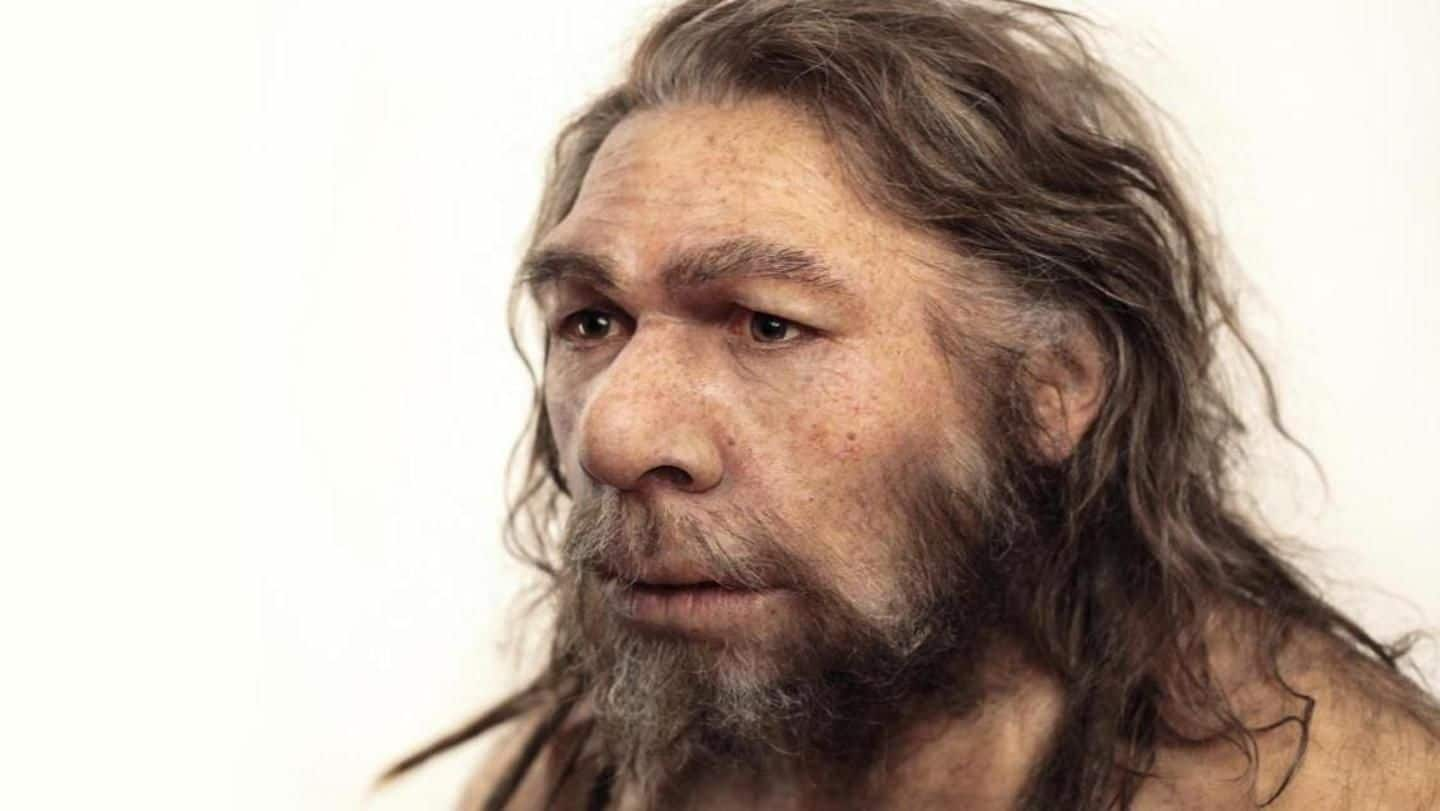 Кроманьонцы homo. Хомо сапиенс неандерталенсис. Неандерталец (homo Neanderthalensis). Кроманьонец ( homo sapiens). Хомо сапиенс неандерталенсис Денисовец.