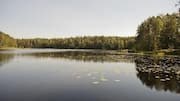 Menemukan Keindahan Alam di Taman Nasional Nuuksio, Finlandia