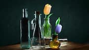 Menangkap Gerakan dalam Fotografi Still Life