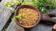 Menikmati Manisnya Fenugreek: Cita Rasa Unik dan Petualang Kuliner