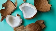 Sikat piring ramah lingkungan dari sabut kelapa