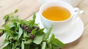 Mencicipi Kesegaran Minuman dengan Sentuhan Tulsi