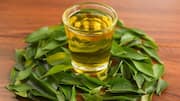 Mengeksplorasi Beragam Potensi dari Daun Kari