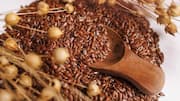 Biji-bijian Ikonik untuk Resep Vegetarian Global