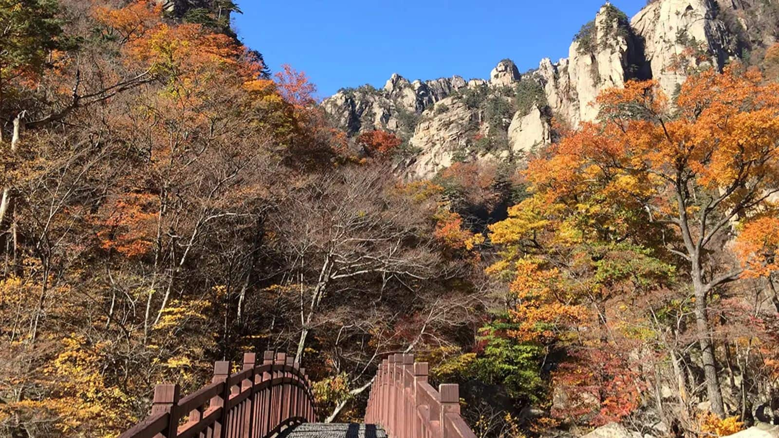 5 Stasiun Bukit yang Tenang di Korea Selatan