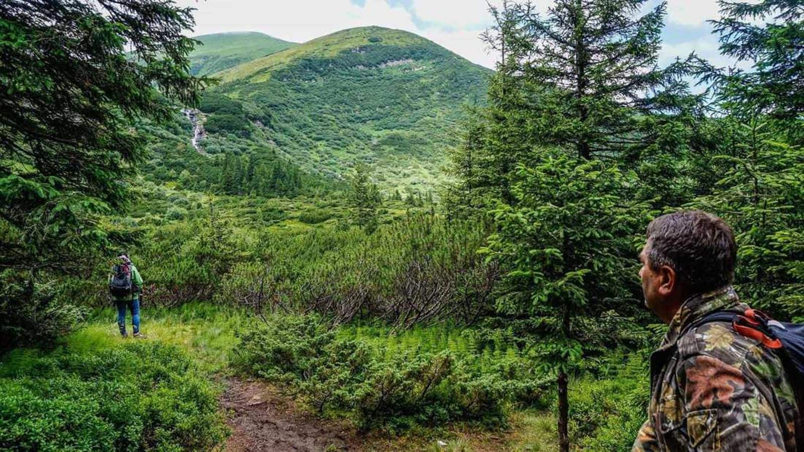 Menjelajahi Keindahan Cagar Biosfer Carpathian, Ukraina