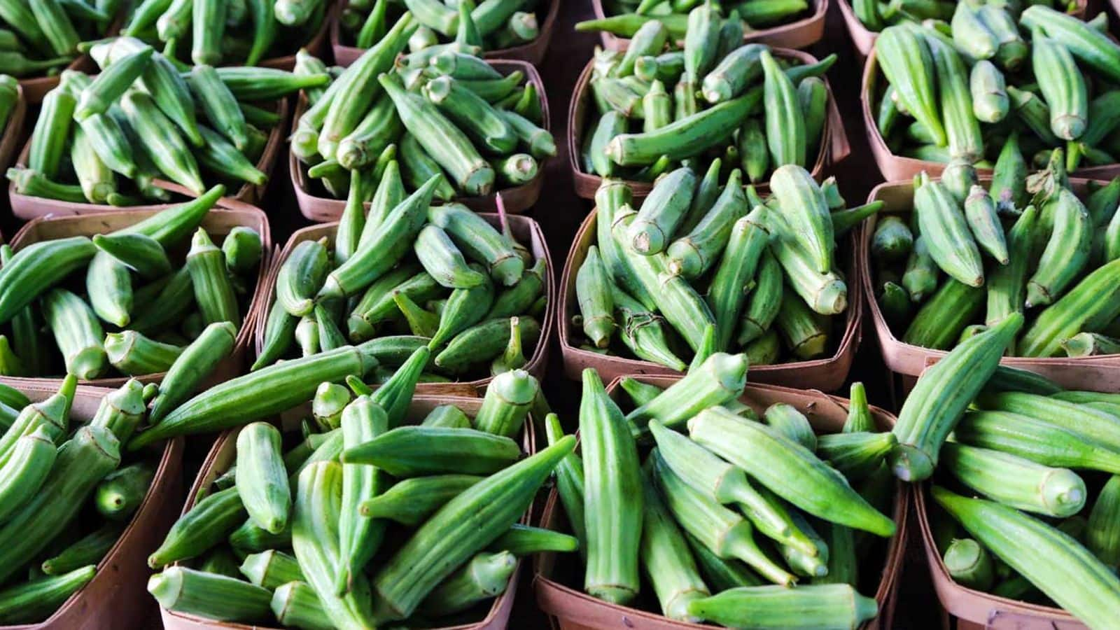 Manfaat Okra Vegan untuk Kekuatan Rambut