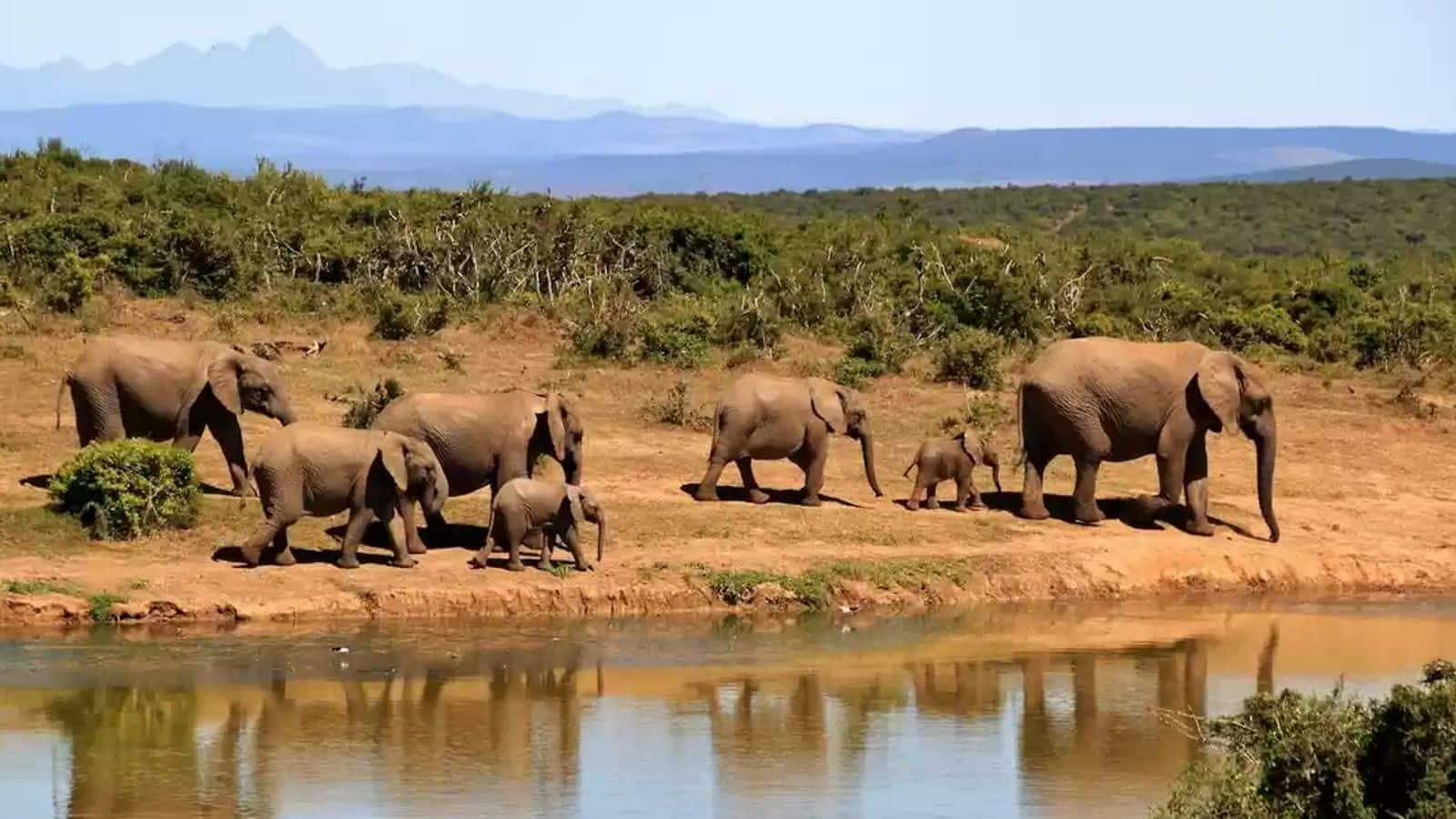 Menjelajahi keajaiban Taman Nasional Tsavo, Kenya