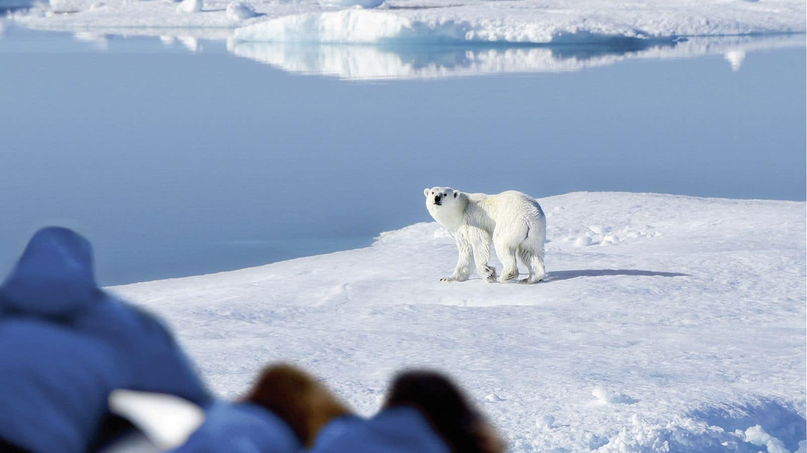 Menjelajahi keindahan Svalbard, Norwegia