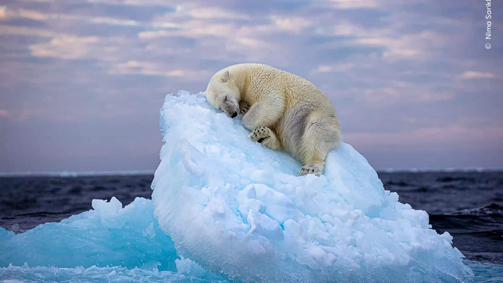 Menjelajahi Keindahan Alam Svalbard, Norwegia