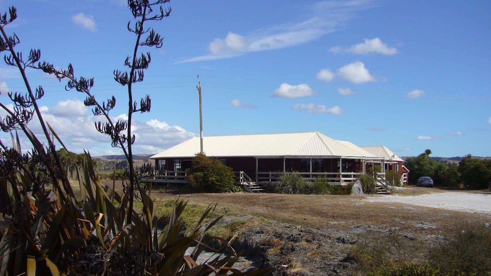 Menjelajahi Keajaiban Pukorokoro Miranda Shorebird Centre, Selandia Baru