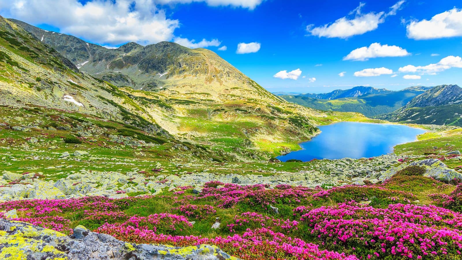 Menjelajahi keindahan Pegunungan Carpathian, Rumania